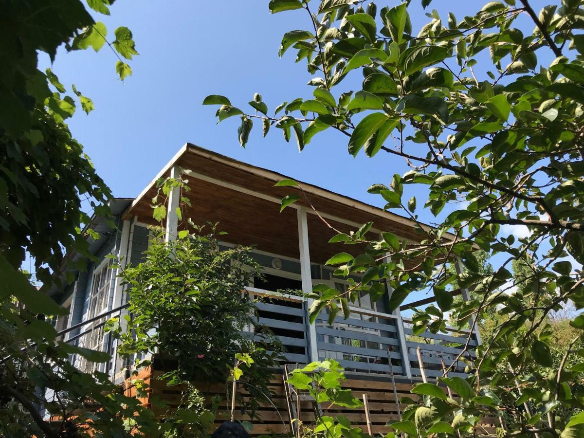 Eco Cottage Marina New Athos Zewnętrze zdjęcie